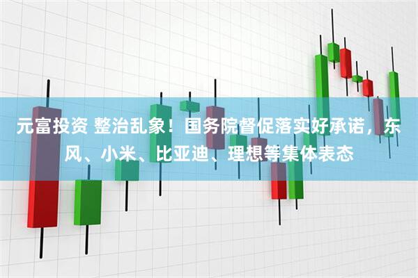 元富投资 整治乱象！国务院督促落实好承诺，东风、小米、比亚迪、理想等集体表态