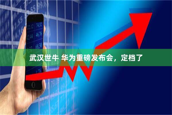 武汉世牛 华为重磅发布会，定档了