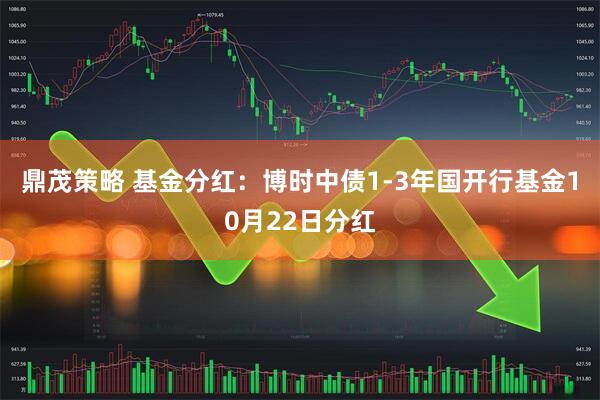 鼎茂策略 基金分红：博时中债1-3年国开行基金10月22日分红