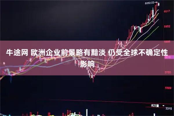 牛途网 欧洲企业前景略有黯淡 仍受全球不确定性影响