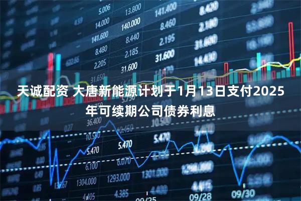 天诚配资 大唐新能源计划于1月13日支付2025年可续期公司债券利息