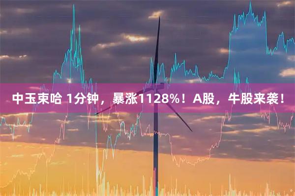中玉束哈 1分钟，暴涨1128%！A股，牛股来袭！