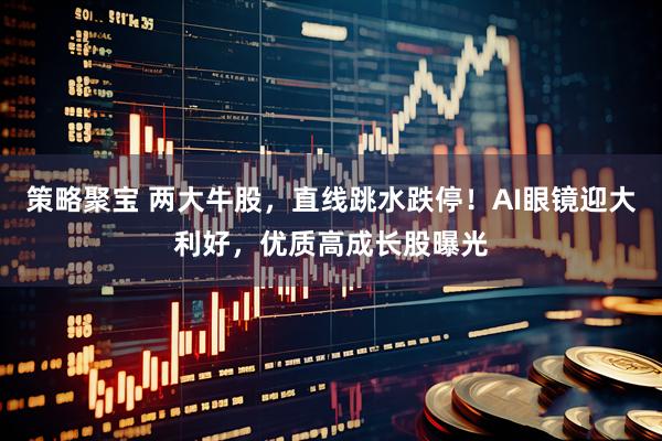 策略聚宝 两大牛股，直线跳水跌停！AI眼镜迎大利好，优质高成长股曝光