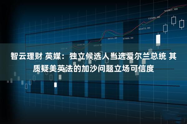 智云理财 英媒：独立候选人当选爱尔兰总统 其质疑美英法的加沙问题立场可信度