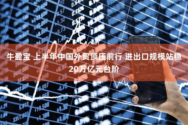 牛盈宝 上半年中国外贸顶压前行 进出口规模站稳20万亿元台阶
