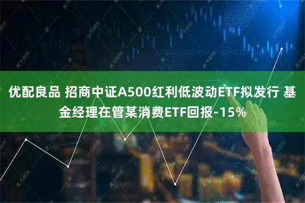 优配良品 招商中证A500红利低波动ETF拟发行 基金经理在管某消费ETF回报-15%