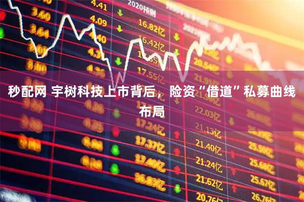 秒配网 宇树科技上市背后，险资“借道”私募曲线布局